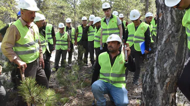 Beyşehir'de ormancılar ağaç kesim tekniklerini öğrendi
