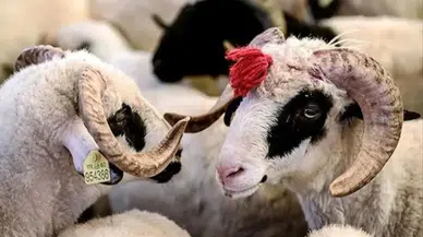 Kurban Bayramı 2026 Ne Zaman, Kaç Gün Sürecek? Bayram Tatili Hangi Günlere Denk Geliyor?