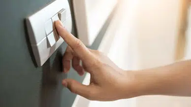 Elektrik Faturası Yüksek Gelenler Dikkat!  Bu Bitki Sayesinde Yarı Yarıya Tasarruf Mümkün