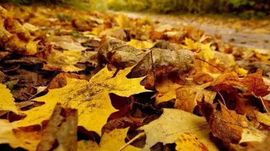 Hoş Geldin Kasım Mesajları 2025