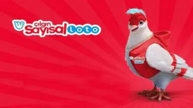 8 Kasım 2025 Sayısal Loto Sonuçları Açıklandı: Kazandıran Numaralar Belli Oldu