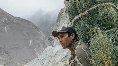 Gayrisafi Yurt İçi Hasıla'da tarımın payı eksiye düştü