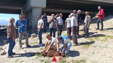 Beyşehirli balıkçılar göl için endişeli! Kurban kestiler