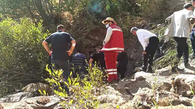 334 koyun uçurumdan düşerek telef oldu