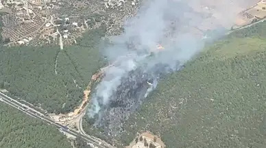 Bodrum'da orman yangını meydana geldi