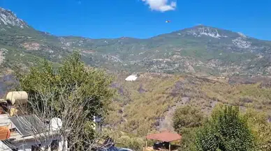 Alanya’daki orman yangınlarında 400 hektar alan zarar gördü