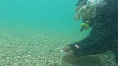 Antalya’da Deniz Dibinde Hıdırellez Dilekleri: Lüks Villa, Araba ve Aşk Kameraya Yansıdı