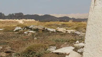 Tarih araştırmasında büyük keşif! Karamanoğulları'na ait sikkeler bulundu