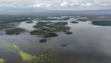 Bir dönem haritadan silinmek üzereydi! Konya'daki o gölün son hali şaşırttı