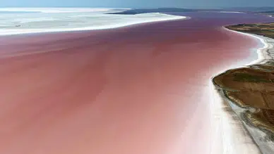 Tuz Gölü'nde doğanın mucizesi! Pembe görüntü hayran bıraktı