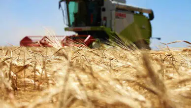 Resmen açıklandı! Konya tarımda Türkiye birincisi