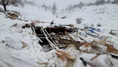 Karaman’da 142 hayvanın bulunduğu ahır çöktü