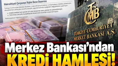 Merkez Bankası’ndan kredi hamlesi!
