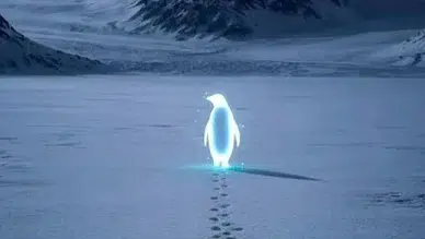 Uzman isimden 'nihilist penguen' yorumu! Neden bu kadar popüler oldu?