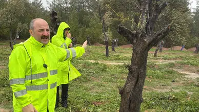Konya Vekili katledilecek denilen ağaçlara bakın ne oldu diyerek açıkladı