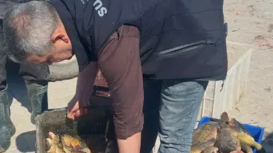 Balıkçılara yakın takip! Beyşehir Gölü'nde sıkı denetim