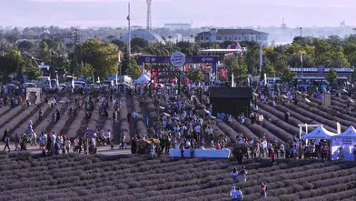 Karatay Lavanta Günleri başlıyor! İşte konserler ve etkinlik programı
