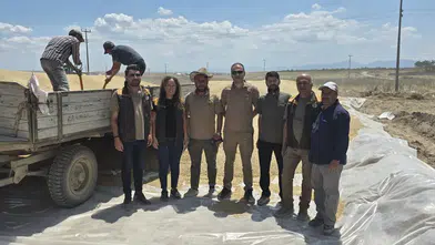 Konya Ovası'nda hasat mesaisi zirvede! TMO Başmüdürü'nden çiftçiye müjde
