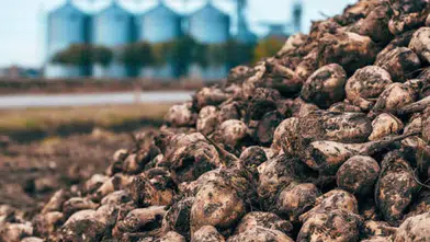 Konya’da alarm! Herkese zam var, şekere yok, fabrikalar zor durumda