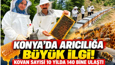 Konya’da arıcılığa büyük ilgi! Kovan sayısı 10 yılda 140 bine ulaştı