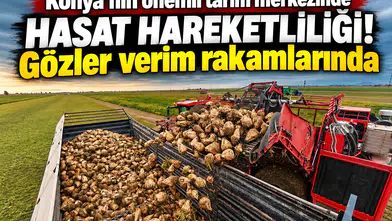 Konya’nın önemli tarım merkezinde hasat hareketliliği! Gözler verim rakamlarında