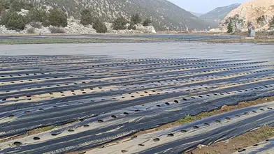 Konya’da tarım arazilerini su bastı! İl Müdürü bölgede