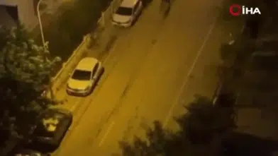 O anlar kamerada! İki grup arasında tüfekli kavga