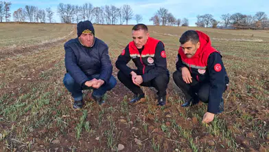 Konya’da hububat çıkışları nasıl? İl Müdürü inceledi