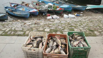 Konya Beyşehir Gölü’ndeki balıkçılar dikkat! Bu tarihten itibaren avlanmak yasak