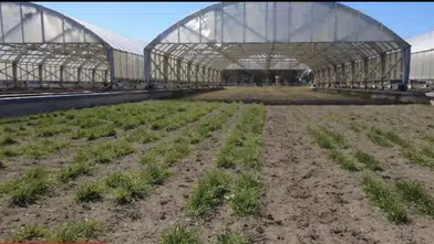 Türkiye’nin ilk Kuraklık Test Merkezi Konya’da