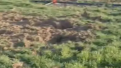 Konya Ovasında tehdit büyüyor