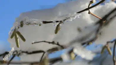 Konyalılar bu tarihlere dikkat! Don riski etkili olacak