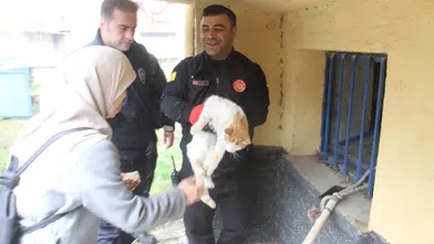 Konya'da açlıktan bitkin düşen kedi hayata döndürüldü