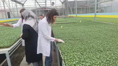 Konya’da bu bitkilerin pasaportu var!