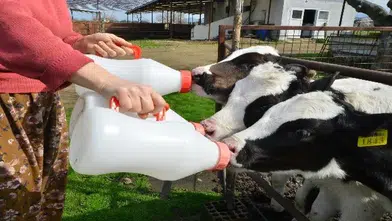 Üreticilerin beklediği süt fiyatı açıklandı