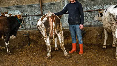 Fiyatlar ne kadar? Konya’da kurbanlıklara yoğun talep