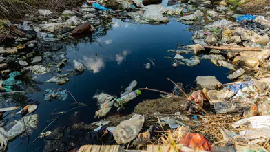 Konya’dan bilimsel uyarı: Mikroplastik detoks iddialarına kanmayın!