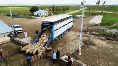 Başvurular başladı! Üreticilere 180 bin TL verilecek