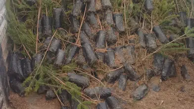 Konya’da yarın ücretsiz fidan dağıtılacak