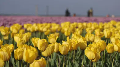 Karaman’da büyüleyen manzara: 9 günde 400 bin ziyaretçi