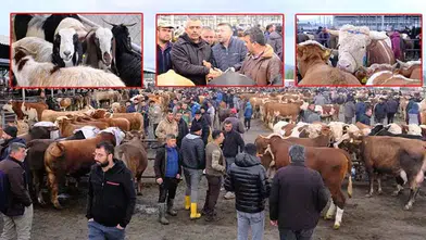 Kurbanlıklar ne kadar? Canlı hayvan pazarında 'kurban' hareketliliği
