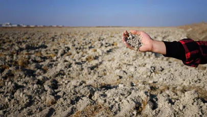 Tahıl ambarı alarm veriyor: Konya’da kuraklık tehlikesi derinleşiyor
