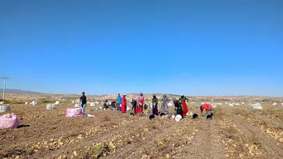 Beyşehir'de tarım ekibi sahada!