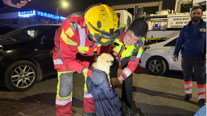 Konya'da 6 saat boyunca mahsur kalan köpek için Büyükşehir harekete geçti!