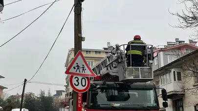 Beyşehir’de telefon direğinde mahsur kalan kediye itfaiye operasyonu!
