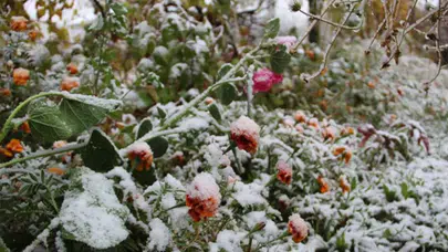 Konya AKOM’dan çiftçilere uyarı: Zirai don kapıda!