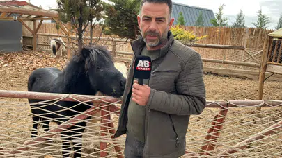 Türk tarihindeki at kültürü Konya’da yaşatılıyor