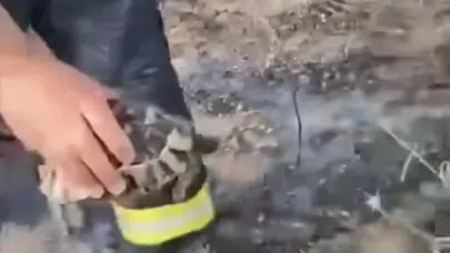 Konya’da yürek ısıtan görüntü! Yangından kaplumbağayı kurtardı