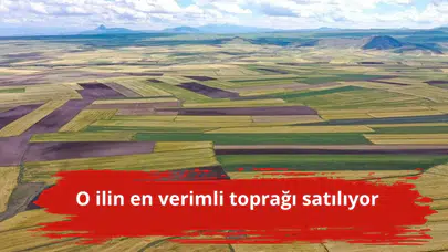 O ilin en verimli toprağı satılıyor