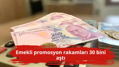 Emekli promosyon rakamları 30 bini aştı